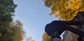 Погода на неделю: от осеннего тепла до ощутимого похолодания