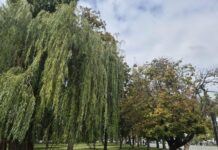 Погода в Украине и Харькове на неделю: от осенней прохлады до потепления