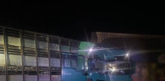 Смертельная авария на Харьковщине: из семьи выжил только мальчик