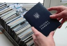 Увольнение через Действие и упрощенное оформление пенсии: какие новые возможности появились для украинцев