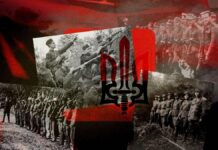 УПА и Харьковщина: кто из уроженцев региона воевал в повстанческой армии